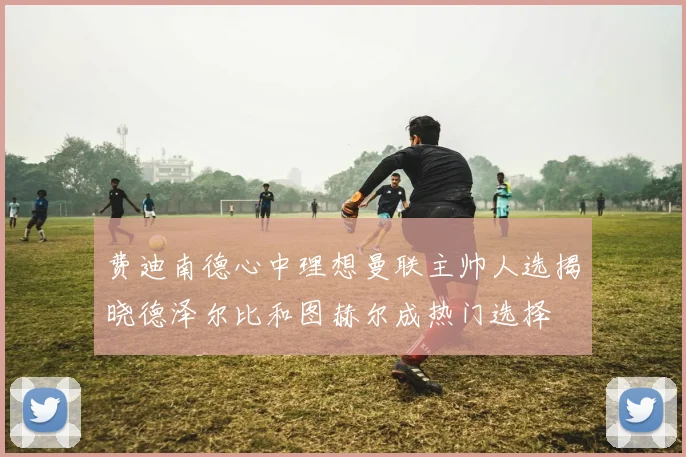 费迪南德心中理想曼联主帅人选揭晓德泽尔比和图赫尔成热门选择