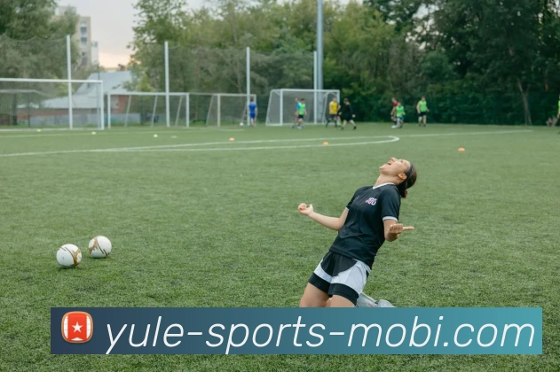 多媒体互动体验