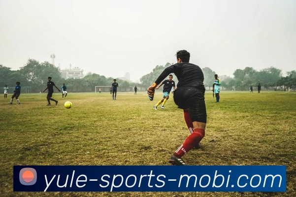 乐鱼体育APP 高清赛事图